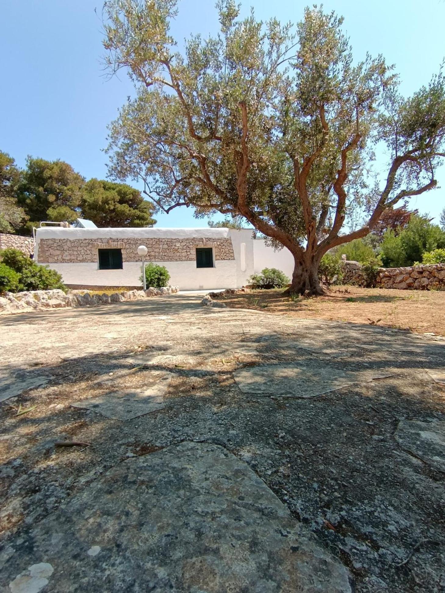 Апартаменти Scogliera Del Gabbiano Santa Maria di Leuca Екстер'єр фото